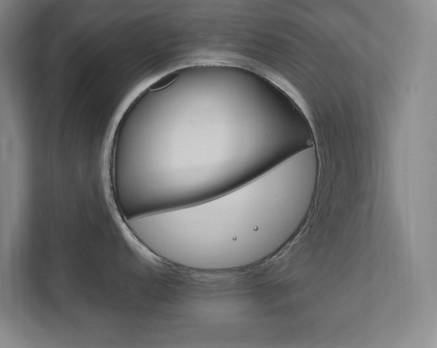X0000111851152200907231054