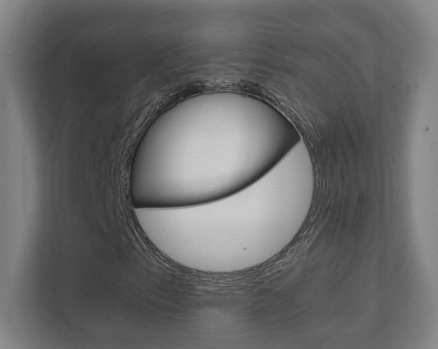 X0000111851153200907231054