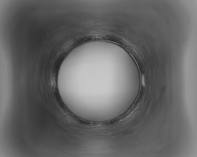 X0000111851155200907231054