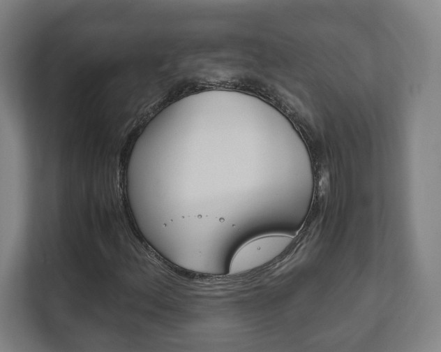 X0000111851156200907231054