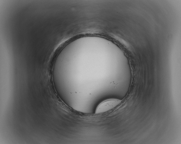 X0000111851160200907231053