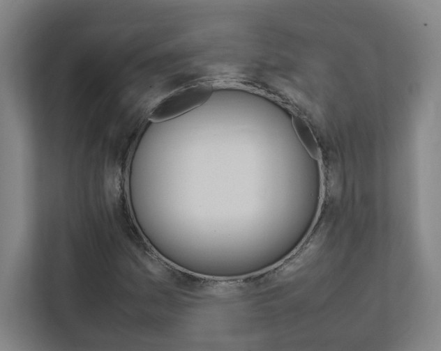 X0000111851161200907231053