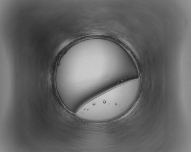 X0000111851163200907231053