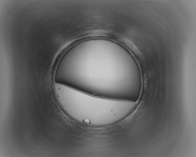 X0000111851164200907231053