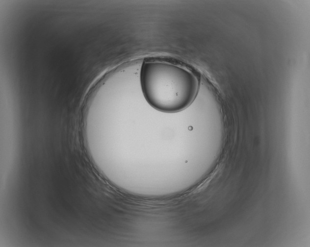 X0000111851165200907231053