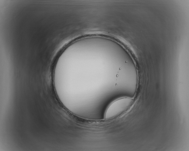 X0000111851167200907231053
