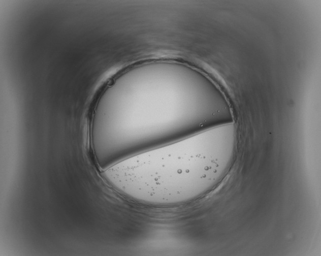 X0000111851171200907231053