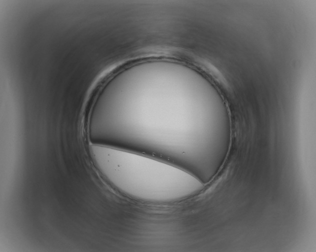 X0000111851172200907231053