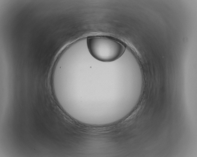 X0000111851173200907231053