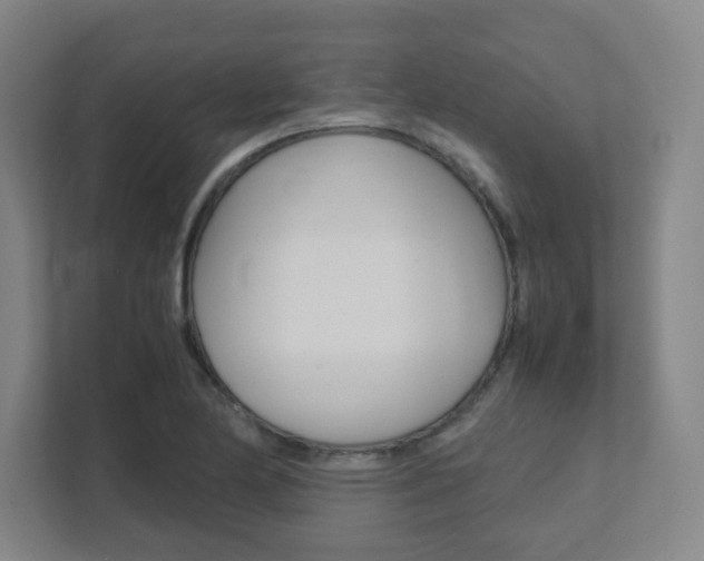 X0000111851174200907231053
