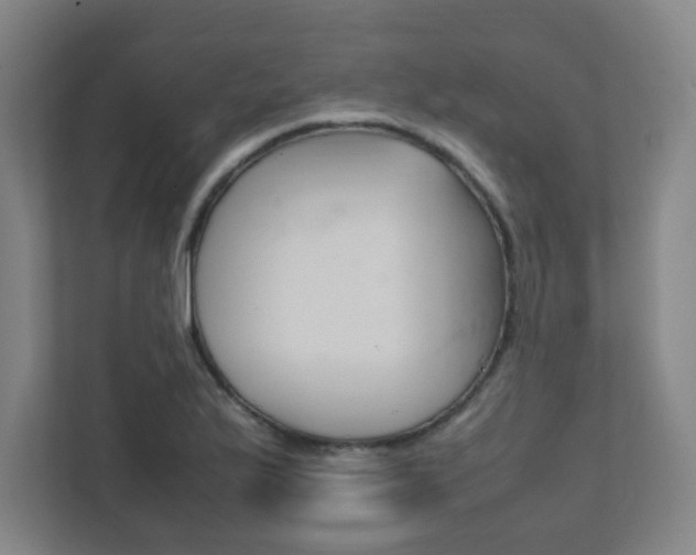 X0000111851175200907231053