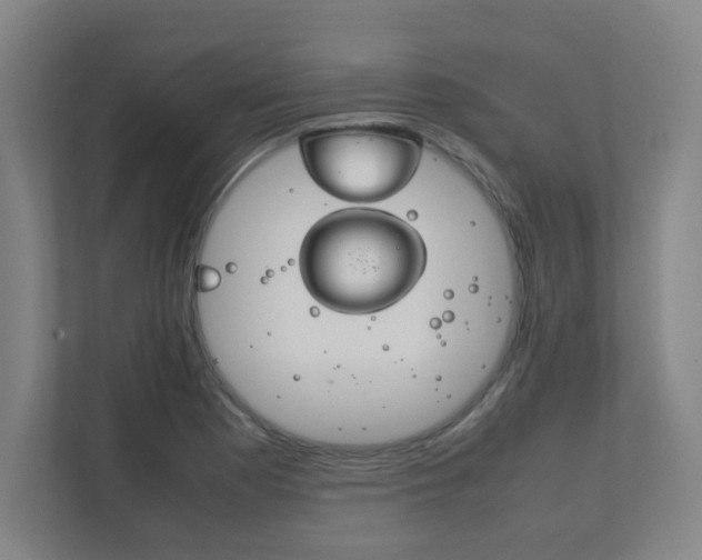 X0000111851177200907231053
