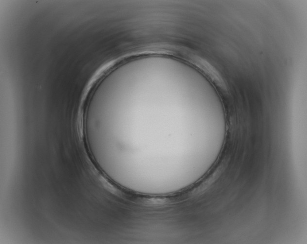 X0000111851180200907231053