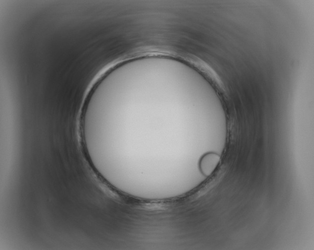 X0000111851182200907231053