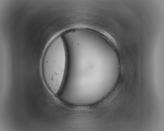 X0000111851183200907231053
