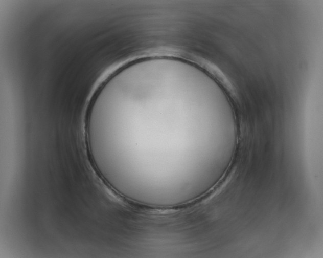 X0000111851184200907231053