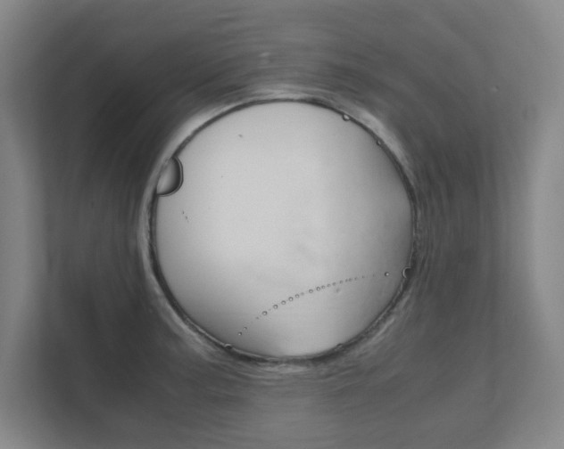 X0000111851187200907231053