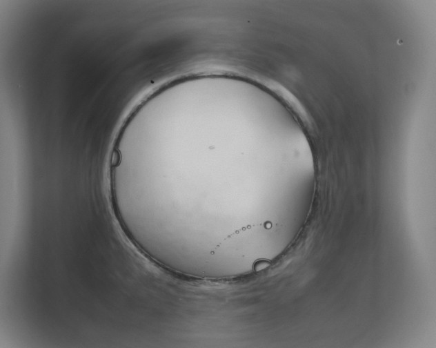 X0000111851191200907231053