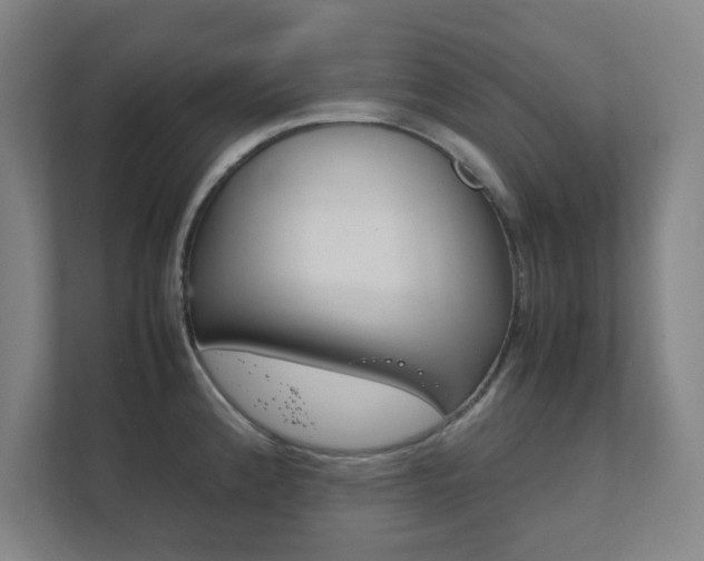 X0000111851192200907231053