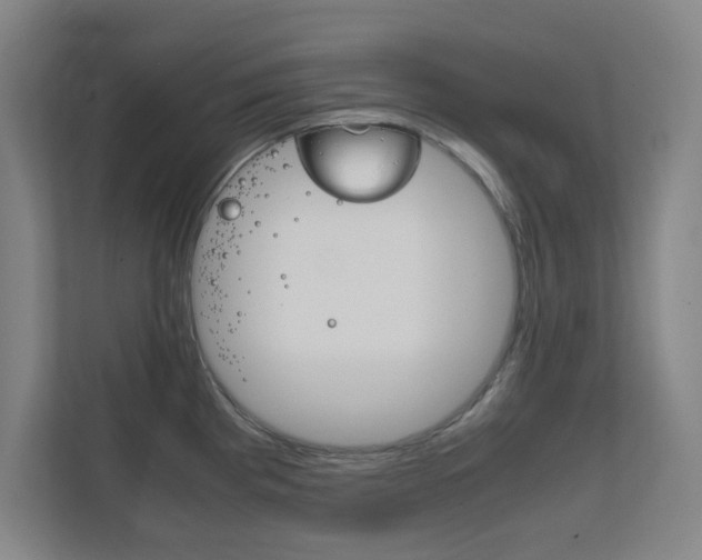 X0000111851193200907231053