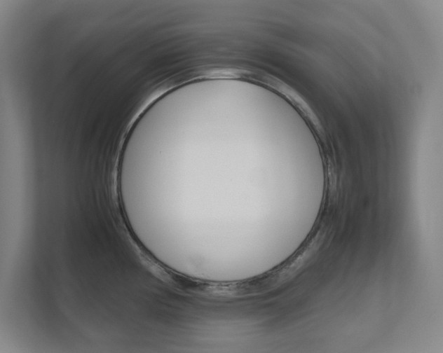 X0000111851194200907231053