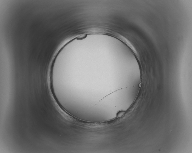 X0000111851195200907231053