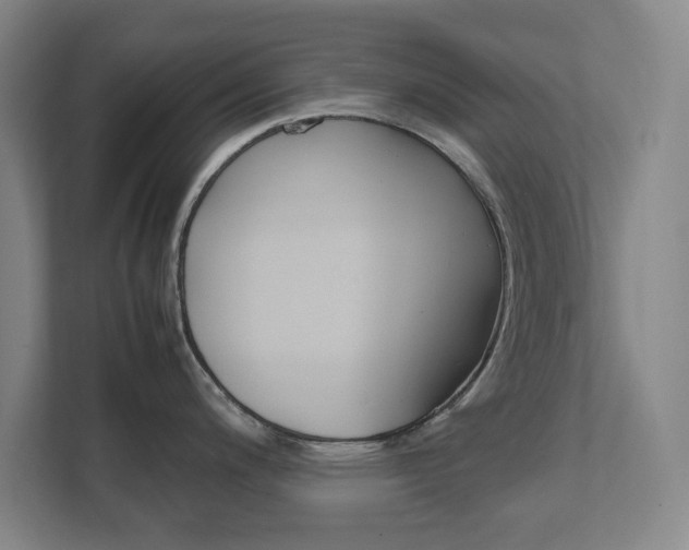 X0000111851200200907231053