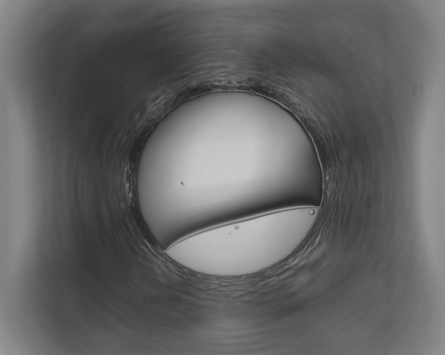 X0000111851202200907231052