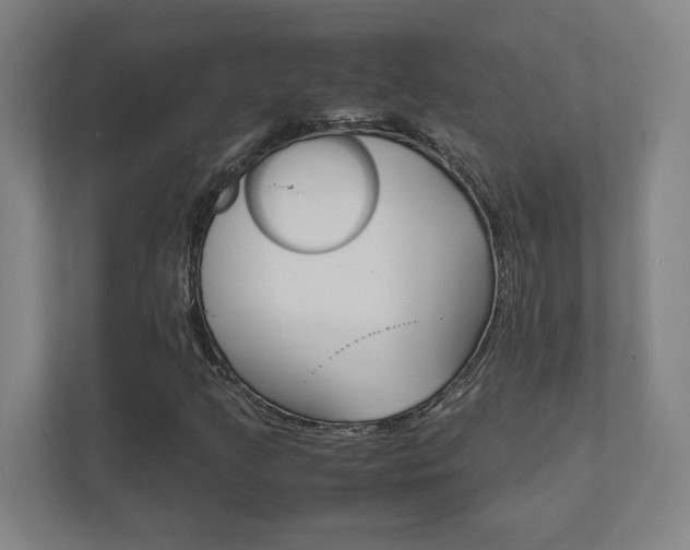 X0000111851205200907231052