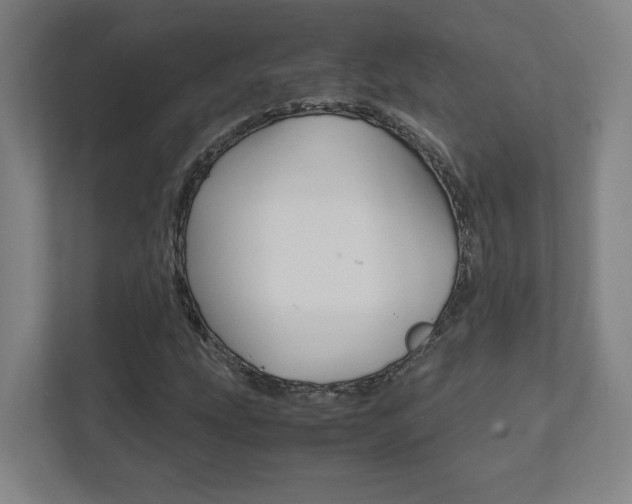 X0000111851207200907231052
