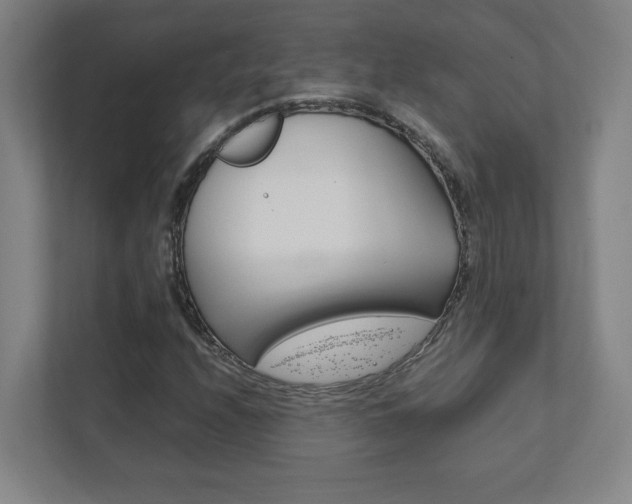 X0000111851208200907231052