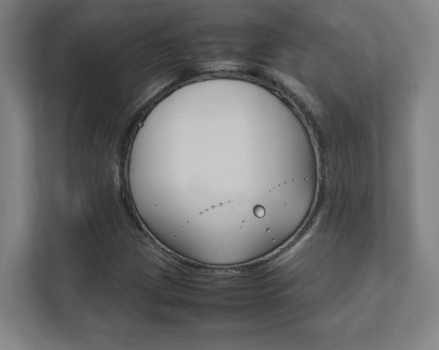 X0000111851209200907231052