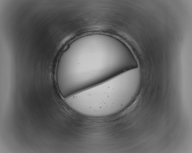 X0000111851210200907231052