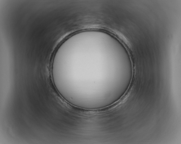 X0000111851212200907231052
