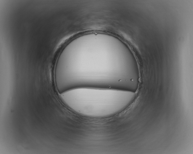 X0000111851214200907231052