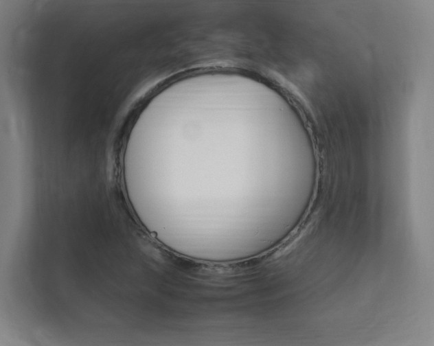 X0000111851215200907231052