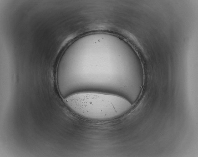 X0000111851218200907231053
