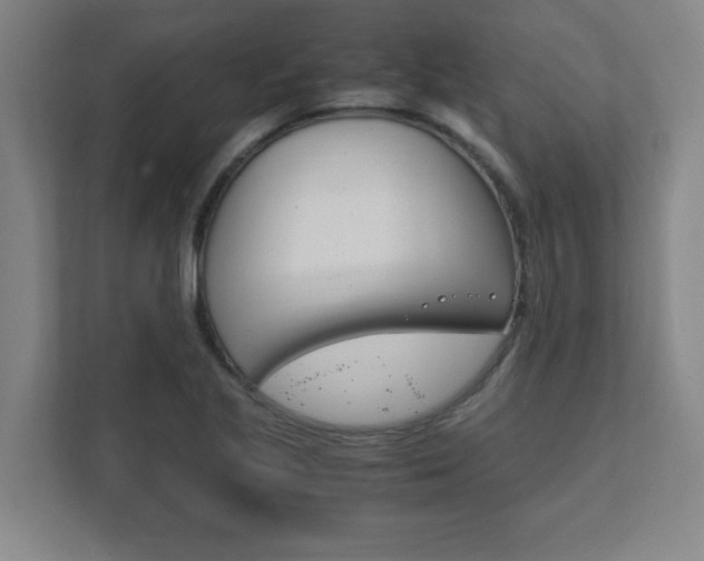 X0000111851221200907231053