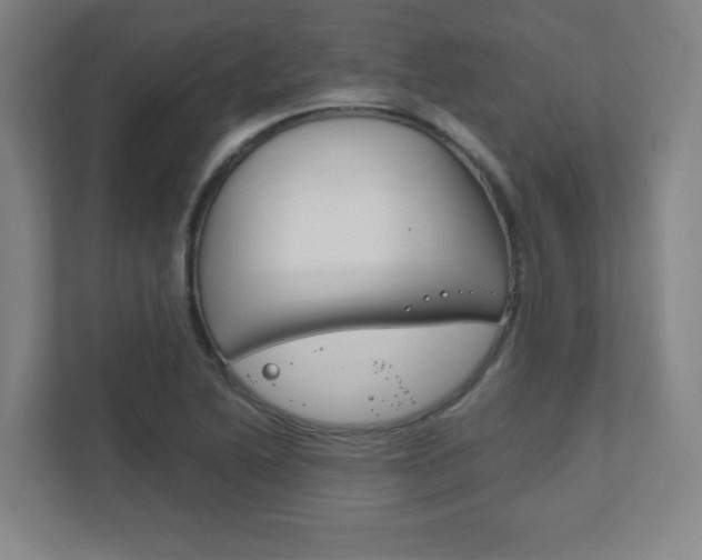X0000111851222200907231053