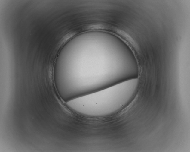 X0000111851225200907231053