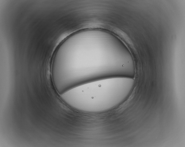 X0000111851226200907231053