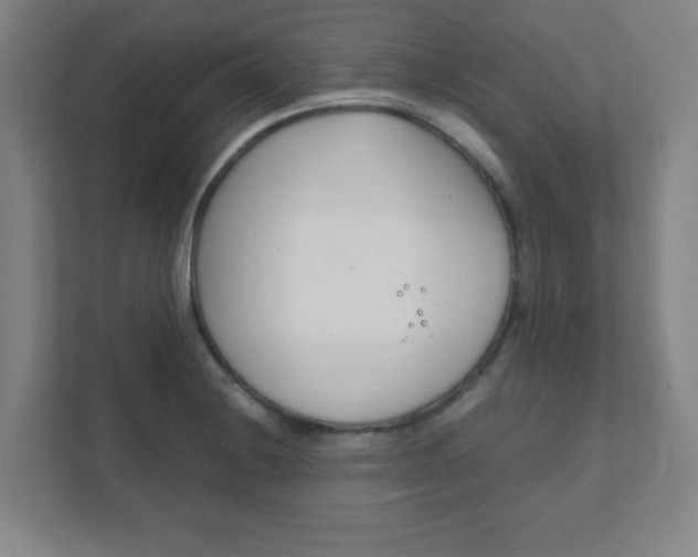 X0000111851228200907231053