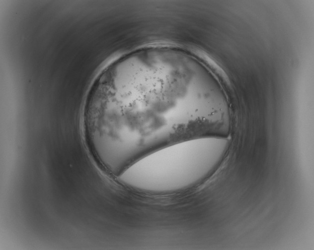 X0000111851229200907231053