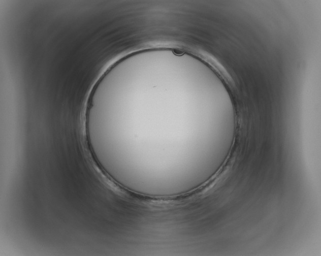 X0000111851236200907231053