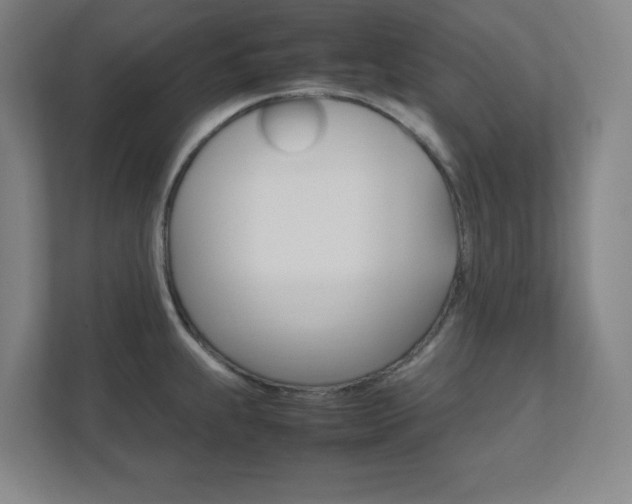 X0000111851239200907231053