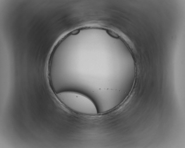 X0000111851240200907231053