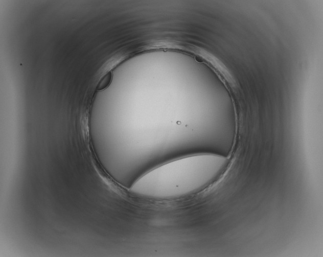 X0000111851241200907231053