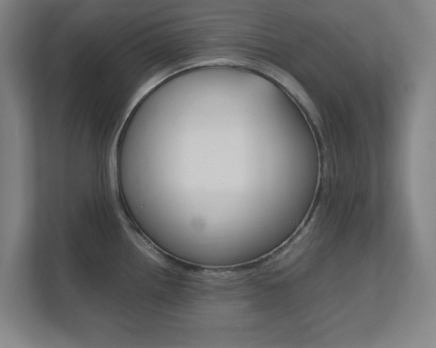 X0000111851242200907231053
