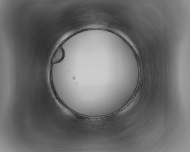 X0000111851245200907231053