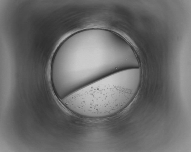 X0000111851246200907231053